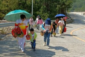 不负大好春光|大手牵小手·我们去春游!