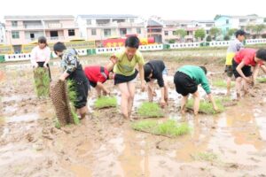 五一致敬劳动美·亲子体验农耕趣|石城县组织儿童开展春耕实践活动