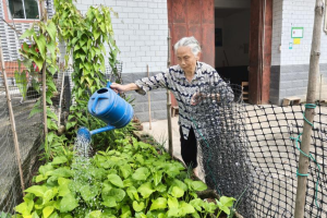 石城“岁月回响”|陈秀兰:在岁月褶皱里生长的坚韧之花
